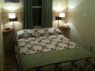 Cozy Mountain Cottage Rental near Green Mountain National Forest - 5