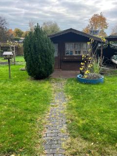 Güden Pearl Bhaven Deck 6 - 3