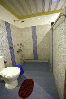 Marari Blue Water Villa - 1