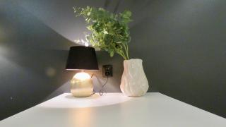 Levi Chalets Apartment 1208 Ski-In Ski-Out - 6