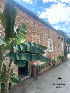 Luxury flat in the beautiful village of Botley - 2