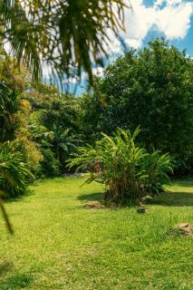 Beau Vallon Bungalows - 1