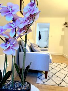 Le cocon du centre - 4