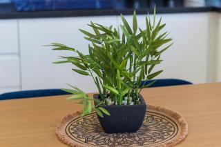 Sun and Sea - Perfect stay next to the airport - 1