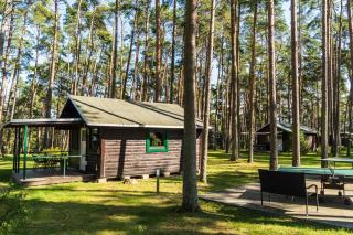 Urlaub im Bungalow mitten im Wald - 3