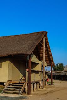 Kambaku II Boat Safaris & Lodge - 9