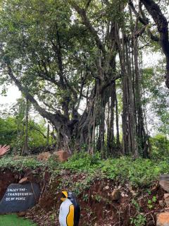 Spring Nature Stay - 8