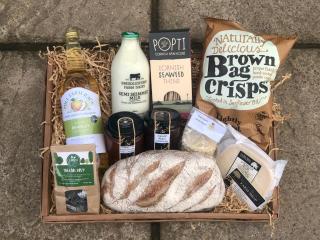 Forest Acorn - Brockenhurst - 2