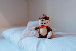 Apartment Perlita - 8