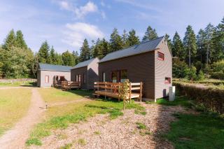 Tinyhouse Wald-Woody - 1