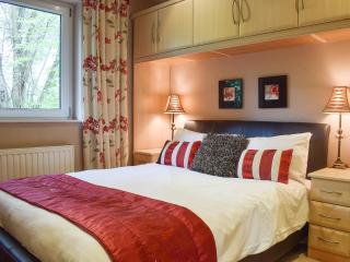 Treetops - 2