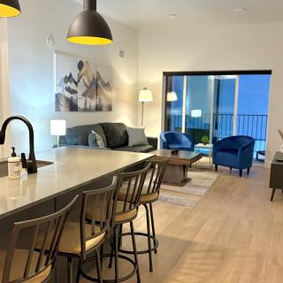 Luxury 2 bedroom 2 bath DT Stay - 9