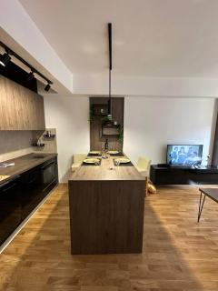 Mira Apartment 1 - Skopje - 8