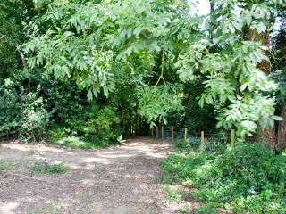 Little Barn - Ukc2539 - Fordingbridge - 1