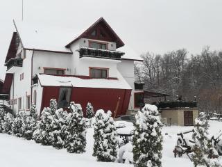 Pensiunea Carol Oglinzi - 5