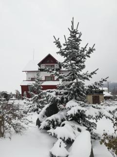 Pensiunea Carol Oglinzi - 3