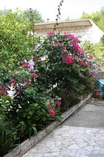 Family friendly seaside apartments Sumartin, Brac - 5771 - 1