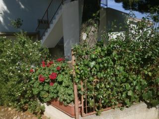 Apartments with parking space Stomorska, Solta - 11528 - 2