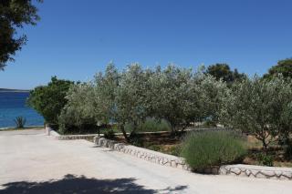 Apartments by the sea Mandre, Pag - 6284 - 1