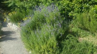 Apartments with parking space Gradac, Makarska - 6724 - 1