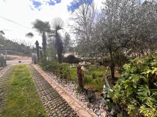 Apartment Zaton 12988a - 1