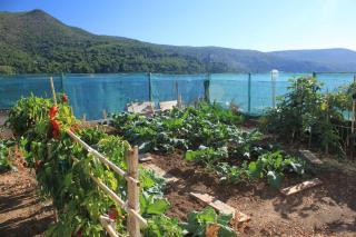 Apartments by the sea Slano, Dubrovnik - 8741 - Slano - 2