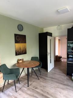 Modern Apartment in a Leafy Town Close to Prague - 8