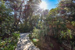 Seaside holiday house Mandre, Pag - 19691 - 3