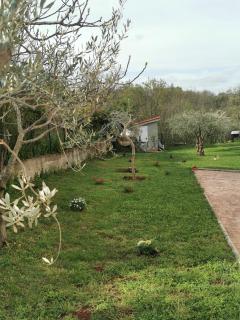 Family-friendly apartments with swimming pool Kastel, Central Istria - Sredisnja Istra - 21309 - 1