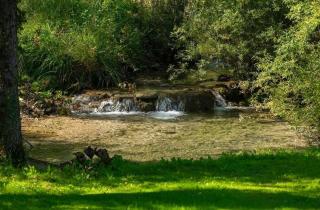 Holiday house with a swimming pool Buzet, Central Istria - Sredisnja Istra - 22842 - 4