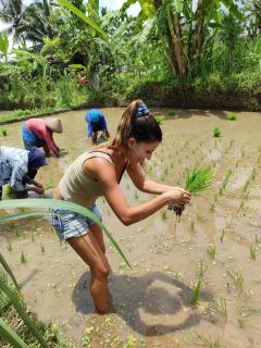 Forest Side Bungalow - 2
