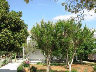 Apartments by the sea Barbat, Rab - 24217 - 1