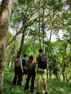 Forest Side Bungalow - 1