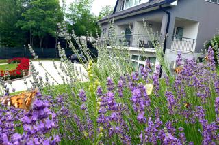 Apartments with a parking space Krapinske Toplice, Zagorje - 24225 - 2