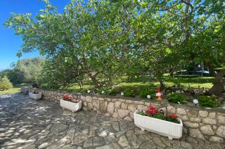 Apartments by the sea Supetarska Draga - Gonar, Rab - 24383 - 1