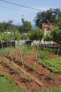 Apartments with parking space Opric, Opatija - 7695 - Opric - 3