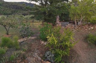 Apartments with parking space Kampor, Rab - 24838 - 3