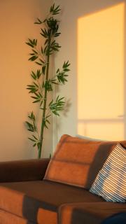 The Blue Nest - 4BR, Marine & Nature Magic View - 9