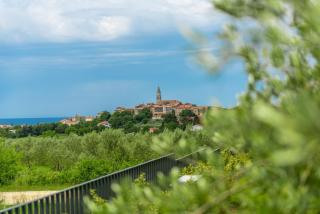 Villa Visignano with private pool, BBQ and jacuzzi - 5