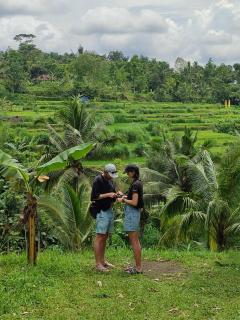 Forest Side Bungalow - 5
