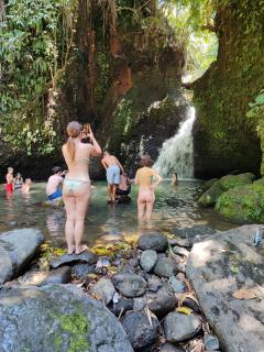 Forest Side Bungalow - 6