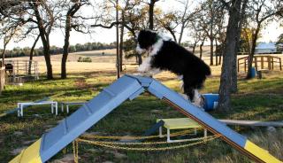 Pet-Friendly Getaway with a Hot Tub near Austin Texas - 9