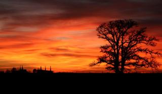 Pet-Friendly Getaway with a Hot Tub near Austin Texas - 8