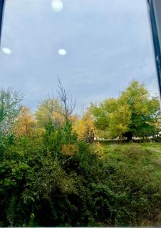 Apartment Pirveli - 9