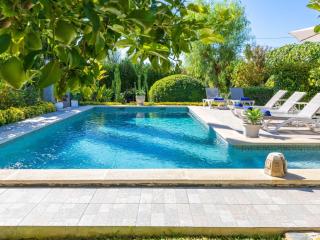 Finca Tito y Yaya - 6