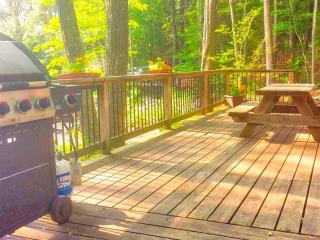 Lakefront Cabin Rental with Incredible Sunsets on Lake Wallenpaupack, Pennsylvania - 6