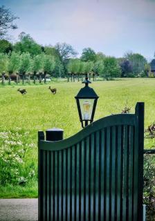 Op Vakantie bij Nicole - Putten - 7