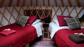 Nature Escape in an Alaskan Glamping Village for Family Fun - 5