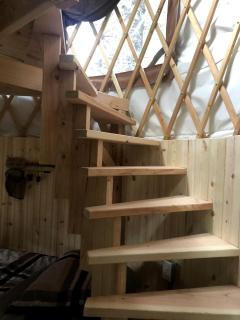 Nature Escape in an Alaskan Glamping Village for Family Fun - 1
