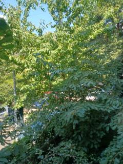 Homely Cozy Place - 4